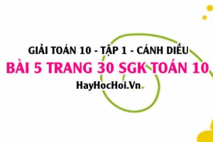 Giải bài 5 trang 30 Toán 10 tập 1 SGK Cánh Diều
